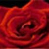 jodimg02421